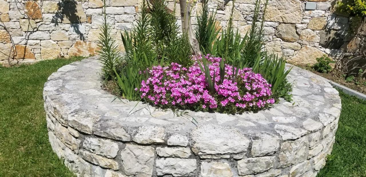 Country House Bubullime Albania Lushnjë 외부 사진