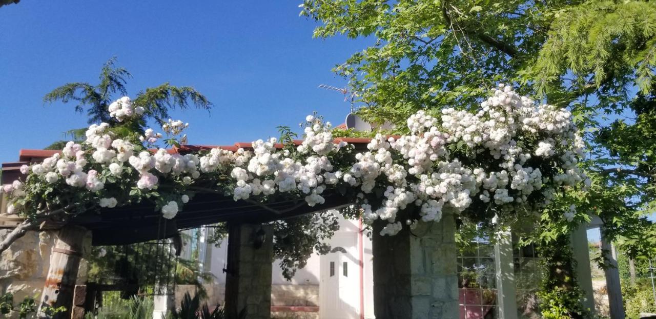 Country House Bubullime Albania Lushnjë 외부 사진