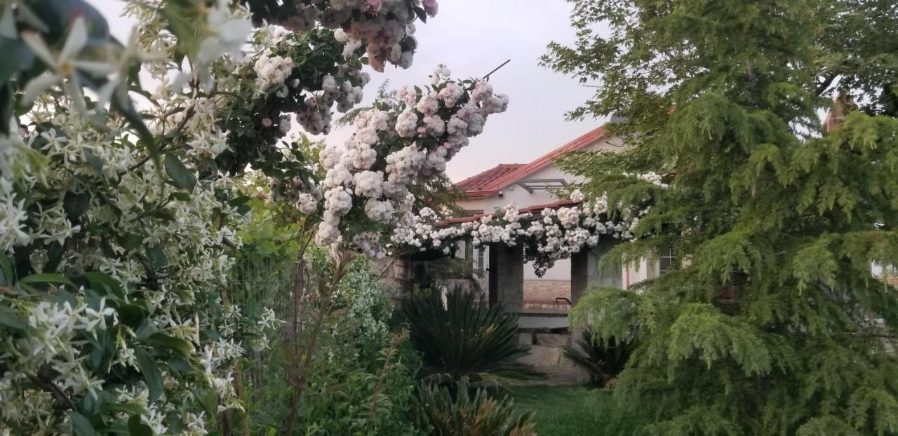 Country House Bubullime Albania Lushnjë 외부 사진