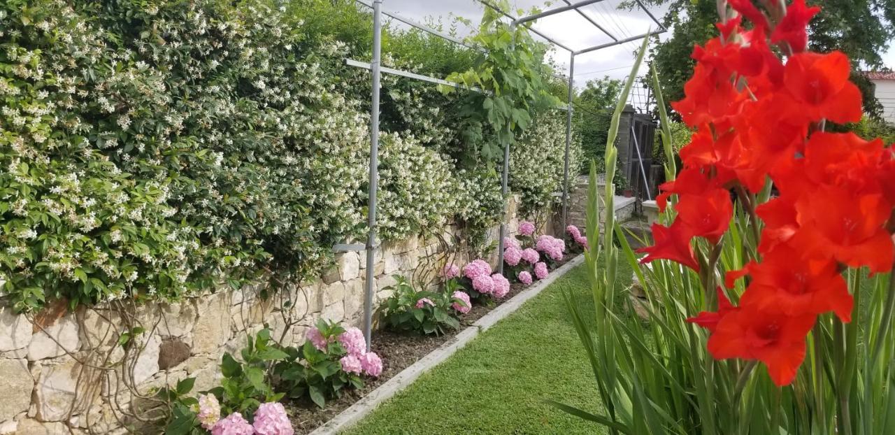 Country House Bubullime Albania Lushnjë 외부 사진
