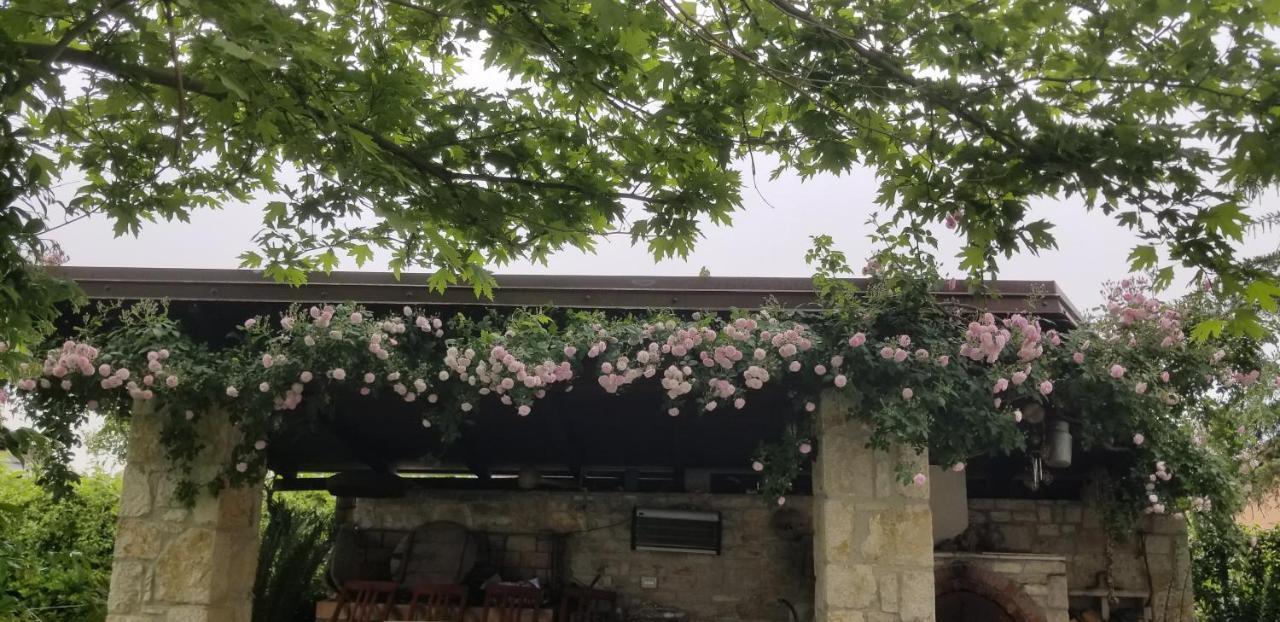 Country House Bubullime Albania Lushnjë 외부 사진