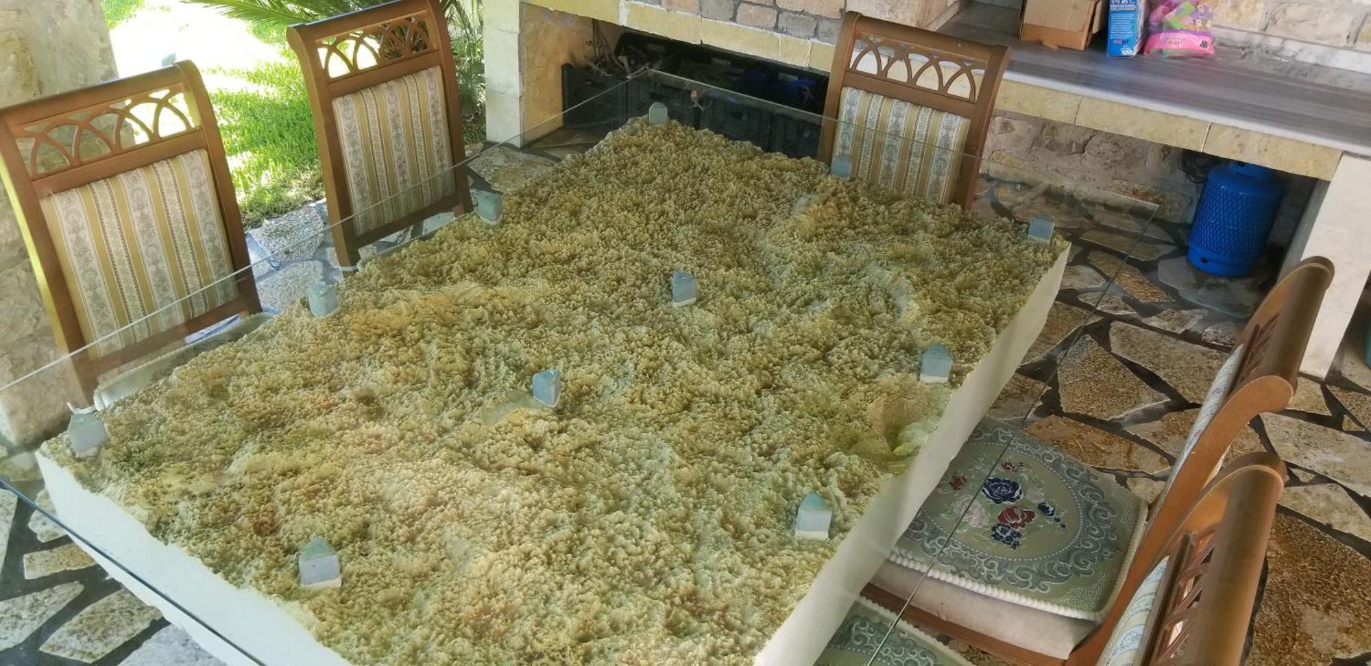 Country House Bubullime Albania Lushnjë 외부 사진