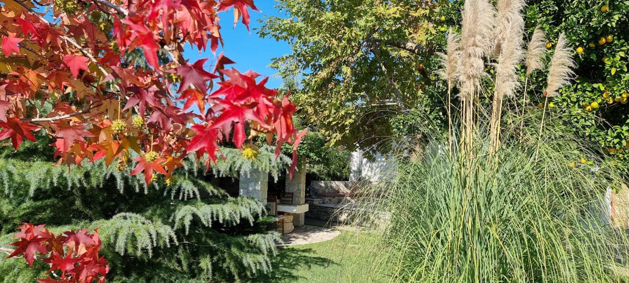 Country House Bubullime Albania Lushnjë 외부 사진